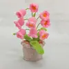 Cicanus bolus tejido a mano terminado maceta de algodón lana floral tejido imitación flor escritorio bonsái regalo hecho a mano