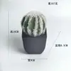 Cactus artificial cactus columna maceta tropical falso verde paisajismo desértico falso verde decorativo cactus bola adornos