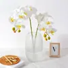 Flores Artificiais Phalaenopsis de Alta Qualidade com Toque Real Conjunto de Flores Artificiais Decoração para Hotel Quarto Decoração com Flores Ornamentos Flores Secas
