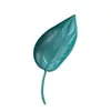 Dispositivo de rega de flores percolador de água raiz fertilização dispositivo de rega de água flor em vaso funil de rega tipo folha planta verde solo aspersão folha