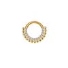 Fábrica de joyería Gaibei F136 con anillo nasal cerrado de forma especial con incrustaciones de diamantes, anillo nasal de titanio para perforación, anillo para pezón y perforación transfronteriza europea y americana