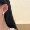 Brincos Brilhantes de Zircônia, Estilo de Nicho de Alto Padrão, Brincos de Pérola de Pônei, Brincos de Estrela, Brincos Versáteis, Acessórios de Moda Feminina