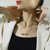 Estilo Ins Frío Europeo y Americano Elegante Tubo Curvo Colgante de Acero de Titanio Moda de Nicho Elegante Curva de Alto Nivel Collar Versátil