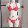Novo Biquíni Sexy 2027 para Meninas Quentes, Com Amarração no Pescoço Duas Peças Estilo Ins, Moda Praia para Férias na Praia