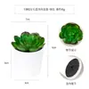 Más de 100 Tipos de Combinaciones de Plantas Suculentas Mini de Plástico Simuladas en Maceta, Mini Bonsáis Suculentos Más Vendidos Transfronterizos, Decoración para el Hogar, Adornos Creativos