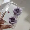 Brincos Estilo Coreano 2026 Puros e Delicados para Mulheres, Brincos de Franja Versáteis, Tendência Popular Online, Brincos Atacado para Barracas