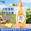 Lanzamiento de Nuevo Producto: Champú Pantene, Anticaspa, Control de Grasa, Champú Voluminizador, Suave y Gentil, Fragancia a Granada Roja, Botella Grande para Uso en Casa