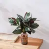 Decoración para el Hogar Hoja Pequeña de Magnolia de 2 Ramas (De Espalda Morada) Flor Artificial Estilo Ins Flor Falsa Venta al por Mayor de Fabricante Artesanías Transfronterizas