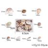 Accesorios DIY transfronterizos combinación de conchas marinas naturales caracolas mixtas coloridas paquete único mixto relleno de silicona