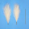 Juncos Artificiais Extensíveis Suprimento da Amazônia Decoração Nórdica Ins Juncos de Duas Seções Montados Capim dos Pampas