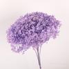 Hortênsia Flor Eterna Flor Seca Anna Wood Hortênsia DIY Materiais Florais Decoração de Arranjo de Flores para Casa Arte Floral de Casamento Decoração Suave