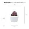 Simulação de flocado carnudo roxo chihuahua em vaso ornamentos de mesa presente pequeno bonsai verde TEMU planta de simulação