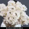 Escenario de Flores Artificiales Color Champán para Boda, Ramo de Flores Falsas, Rosa, Orquídea Mariposa, Flores de Boda, Venta al por Mayor de Flores Artificiales