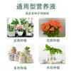 Solución nutritiva para plantas al por mayor, fertilizante líquido universal para flores y plantas verdes, fertilizante foliar hidropónico, solución nutritiva rica en bambú.