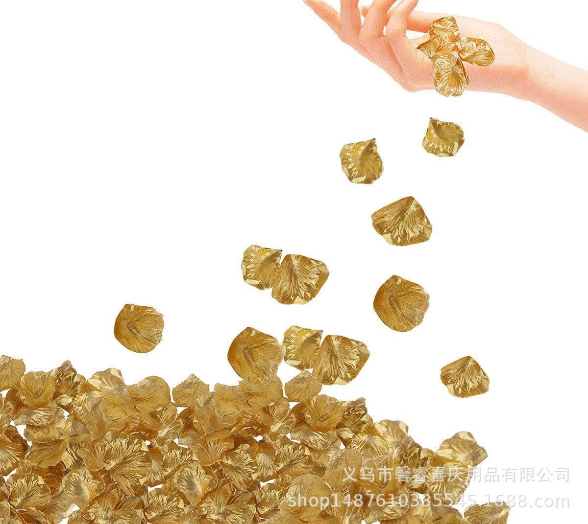 71GiJJFUZ1L._AC_SL1200_