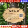 Letreros Acrílicos de Flores y Plantas, Identificadores, Señales Informativas de Vegetación, Etiquetas para Árboles, Etiquetas Colgantes, Etiquetas Colgantes para Plantas, Etiquetas para Árboles Frutales