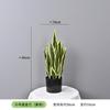 Planta Verde Simulada Pequena Planta em Vaso Suportes Orquídea Tigre Personalizada, Agave, Folha de Ninho de Pássaro, Folha de Dinheiro, Sisal de Cica