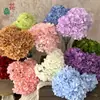 Simulação Hortênsia Comércio Exterior 5 Cabeças Arranjo Hortênsia Hortênsia Francesa Estilo Quente Base para Casamento Hortênsia Flor Artificial Atacado