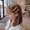 Horquilla de Rhinestone Distintiva Estilo Coreano Pinza Superior Diamante de Color Tocado Chica Influencer de Internet Pinza Lateral Estilo Sencillo Elegante Horquilla de Cristal