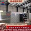Secador Tandonghua Medicina Herbal Chinesa Ai Donghua Jiujihua Flor Lanterna Sala de Secagem a Baixa Temperatura Secador Tandonghua