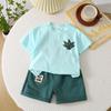 Conjunto de ropa de verano para niños 2025, nuevo conjunto de ropa para bebés, elegante y de moda para niños, de manga corta y dos piezas.