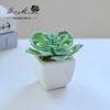 Suculenta Pequeno Bonsai Cerâmica Decoração Mobiliário para Casa Fabricante Jinhua Plantas Verdes Aliexpress Flor Falsa Plantas em Vaso