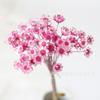 Flor seca, flor eterna, gypsophila, bola dorada, nomeolvides, rosa, hoja de eucalipto, piña, hierba del amante, venta al por mayor