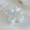 Pinza para el Cabello Estilo Aurora Primavera y Verano Color Gelatina Crema Flor de Contraste Pinza Acrílica Pinza Versátil Accesorios para la Cabeza