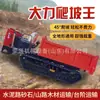 Exportação Transportador Rastejador Agrícola Todo-o-Terreno Tração nas Quatro Rodas Rei da Subida Caminhão Basculante para Mineração Subterrânea