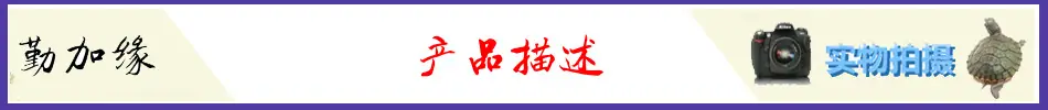 勤加缘描述