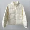 2026 Inverno Novo Estilo Versão Coreana Senso de Design Cor Sólida Versátil Jaqueta Puffer Casaco Feminino Gola Alta Moda Jaqueta de Algodão