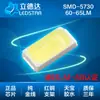 Lâmpada LED Patch Certificada Lm-80 5730 Luz Branca Quente Positiva e Fria 0.5W60-65Lm Tira de Luz de Alto Brilho