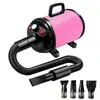Secador de cabelo para animais de estimação de alta potência transfronteiriço, soprador de água para banho de cães grandes, soprador de água tipo locomotiva rápida