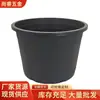 Vaso de Galão Vaso de Flores de Plástico Doméstico Respirável Rabanete Verde Calibre Grande Galão Vaso de Galão de Plástico Tamanho Grande Transfronteiriço