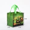 Bolsa de Mano de Tela No Tejida Personalizada Halloween Colorida Bolsa para Empaque de Dulces Calabaza Logotipo Impreso Halloween Regalo Divertido