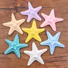 7 Cores 57X60mm Acessórios de Resina DIY Charme Oceânico Estrela do Mar Colorida Dopamina Pingente Acessórios para Capa de Celular Bolsa