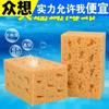 Esponja de Lavado de Coche de Panal Productos de Limpieza para Lavado de Coche Esponja de Alga Coralina Esponja Grande para Limpieza de Coche Esponja para Belleza y Encerado