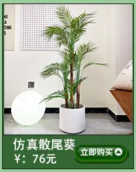仿真蕨类植物