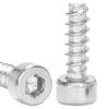 Grado 8.8 Hb Hierro Niquelado Cabeza de Copa Hexagonal Autoperforante Cola Plana Tornillo de Cabeza Cilíndrica Cola Plana M2/M3/M4/M5