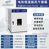 Forno de Secagem por Convecção de Temperatura Constante Elétrico Direto da Fábrica Máquina de Secagem de Alta Temperatura Pequeno Forno Industrial Forno de Laboratório