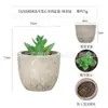 Planta en Maceta Artificial Mini Transfronteriza Hecha a Medida Adornos de Escritorio Bonsái Suculento de Simulación Flor Artificial Planta Verde Pulpa Suculenta Planta en Maceta