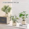 Plantas Verdes Artificiales, Flores Falsas, Flores Artificiales, Plantas Pequeñas de Escritorio en Maceta, Adornos Decorativos, Estanterías, Plantas Verdes Artificiales, Accesorios de Fotografía