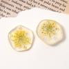 Brisa de Verano flores flor seca Perla lámina de oro pieza de forma especial diy resina pendientes pasador funda de teléfono material al por mayor
