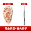 Fábrica de Parches para Acupuntos de Oreja Semillas Wangbuliuhe Suministros Parche de Bolitas de Presión para la Oreja Modelo de Oreja de Acupuntura de Medicina Tradicional China Parche Estimulador de Presión en la Oreja con Bolita Magnética
