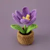 Puesto Callejero Tienda Artesanal Tejido Tulipán Floreciente Planta en Maceta de Lana Estudiante Lindo Aula Adornos de Ganchillo