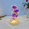 Rosa de cristal con tres láminas de oro transfronterizas, cubierta de flor eterna, luz de noche, regalo de San Valentín para madre, decoración creativa de fábrica