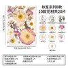 Materiales para manualidades con flores secas en relieve, marcapáginas para niños, pétalos de flores reales, calcomanías de maquillaje, especímenes de plantas, decoraciones de flores prensadas para resina