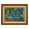 Moldura Dourada Retrô Campo de Pessegueiros em Flor de Van Gogh Céu Estrelado Estilo Pintura a Óleo Sala de Estar Entrada Pintura de Parede Emoldurada Pintura Decorativa Personalizado