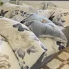 Conjunto de cama de quatro peças em algodão escovado, algodão puro, espessado para outono e inverno, adequado para todas as estações, inclui lençol de cima, lençol com elástico e fronhas, conjunto de cama de três peças