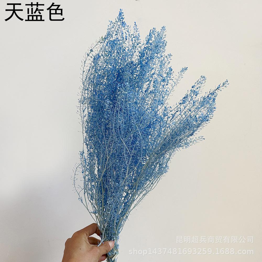 QQ图片20221213152629.jpg